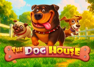 acash888 The Dog House ทดลองเล่นฟรี